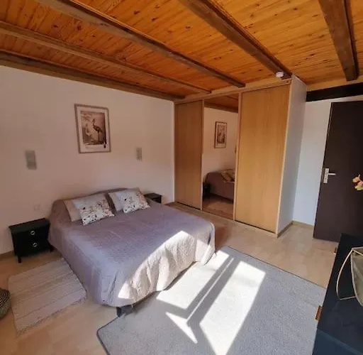 Maison Alsacienne Au Coeur Du Vignoble