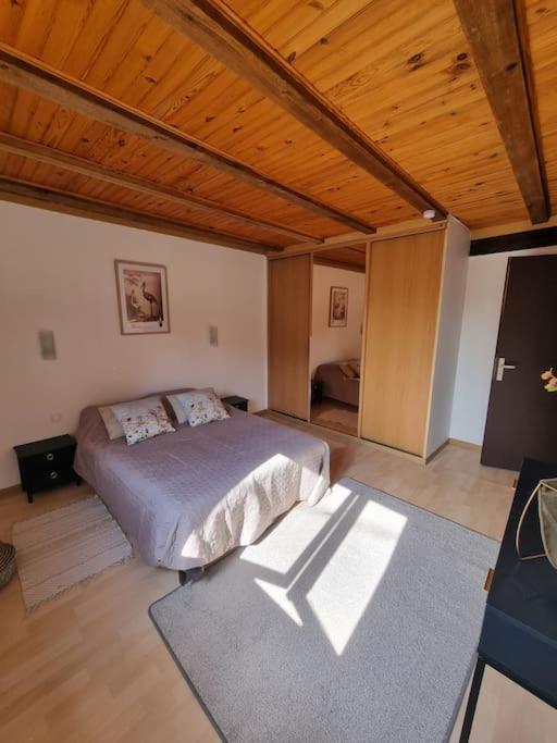 Maison Alsacienne Au Coeur Du Vignoble Holiday home Kientzheim